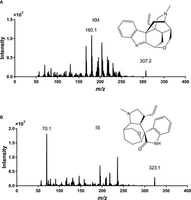Orally Administered Koumine Persists Longer in the Plasma of Aged Rats Than That of Adult Rats as Assessed by Ultra-Performance Liquid Chromatography-Tandem Mass Spectrometry